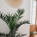 - Apartmán La Rochelle (Charente-Maritime)