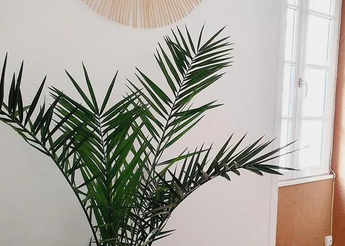 - Apartamento La Rochelle (Charente-Maritime)